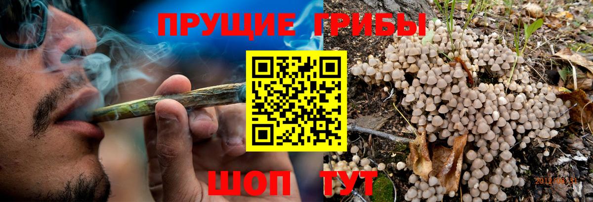 Галлюциногенные грибы ЛСД Печора