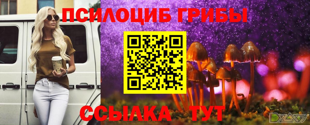 продажа наркотиков  Галлюциногенные грибы Magic Shrooms  Печора  Вход с VPN  Галлюциногенные грибы GOLDEN TEACHER 